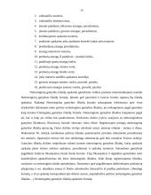 Gamybos išlaidos 13 puslapis