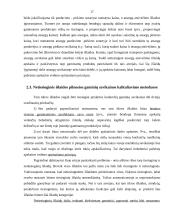 Gamybos išlaidos 16 puslapis