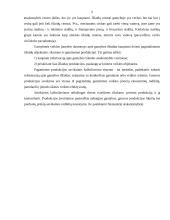 Gamybos išlaidos 3 puslapis