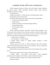 Gamybos išlaidos 4 puslapis