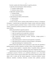 Gamybos išlaidos 5 puslapis