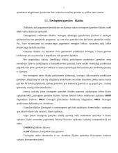 Gamybos išlaidos 6 puslapis