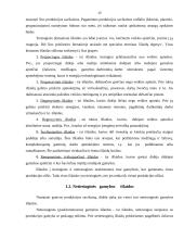 Gamybos išlaidos 9 puslapis