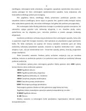 Gamybos išlaidos 10 puslapis