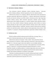 Mokestinių nepriemokų mokėjimo, atidėjimo tvarka bei apskaitos ypatumai 3 puslapis