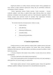 Gamybos planavimas: metalo konstrukcijos UAB "Litana ir Ko" 11 puslapis