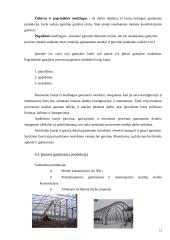 Gamybos planavimas: metalo konstrukcijos UAB "Litana ir Ko" 12 puslapis