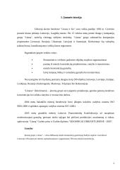 Gamybos planavimas: metalo konstrukcijos UAB "Litana ir Ko" 3 puslapis