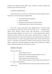 Gamybos planavimas: metalo konstrukcijos UAB "Litana ir Ko" 8 puslapis