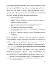 Mokymasis bendradarbiaujant per pamoką 11 puslapis