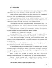 Mokymasis bendradarbiaujant per pamoką 14 puslapis