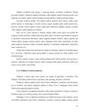 Mokymasis bendradarbiaujant per pamoką 15 puslapis