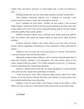 Mokymasis bendradarbiaujant per pamoką 16 puslapis