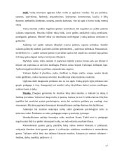 Mokymasis bendradarbiaujant per pamoką 17 puslapis