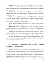 Mokymasis bendradarbiaujant per pamoką 18 puslapis