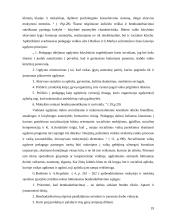 Mokymasis bendradarbiaujant per pamoką 19 puslapis