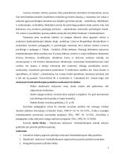 Mokymasis bendradarbiaujant per pamoką 3 puslapis