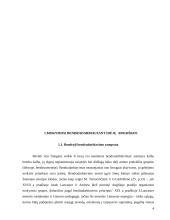 Mokymasis bendradarbiaujant per pamoką 4 puslapis