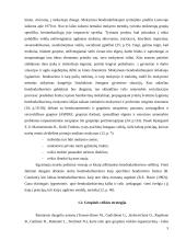 Mokymasis bendradarbiaujant per pamoką 5 puslapis