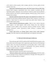 Mokymasis bendradarbiaujant per pamoką 6 puslapis