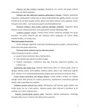 Mokymasis bendradarbiaujant per pamoką 7 puslapis