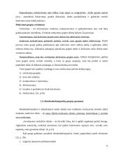 Mokymasis bendradarbiaujant per pamoką 8 puslapis