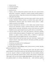 Mokymasis bendradarbiaujant per pamoką 9 puslapis