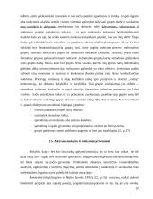 Mokymasis bendradarbiaujant per pamoką 10 puslapis