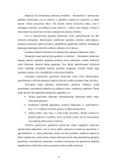 Gamybos plėtros planavimas 19 puslapis