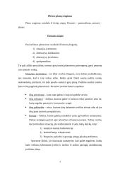 Gamybos plėtros planavimas 4 puslapis