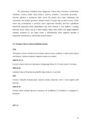 Moterų diskriminacija Lietuvos darbo rinkoje 11 puslapis