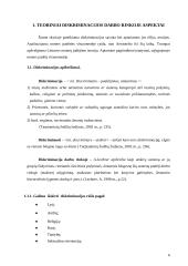 Moterų diskriminacija Lietuvos darbo rinkoje 5 puslapis