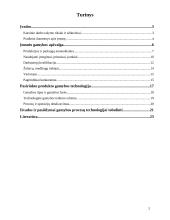 Gamybos teikimo technologijos analizė: saldainių įmonė UAB "Saldi pagunda" 2 puslapis