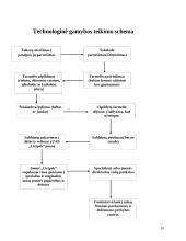 Gamybos teikimo technologijos analizė: saldainių įmonė UAB "Saldi pagunda" 19 puslapis