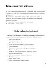 Gamybos teikimo technologijos analizė: saldainių įmonė UAB "Saldi pagunda" 6 puslapis