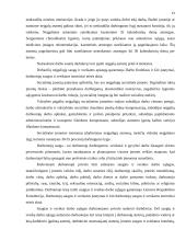 Moterų, neįgalių asmenų darbas, garantijos, lengvatos 14 puslapis