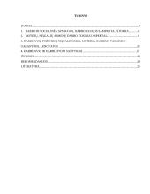 Moterų, neįgalių asmenų darbas, garantijos, lengvatos 3 puslapis