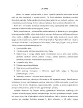 Moterų, neįgalių asmenų darbas, garantijos, lengvatos 4 puslapis