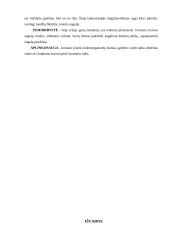 Genetiškai modifikuoti produktai arba GMP 13 puslapis