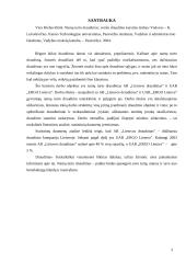 Namų turto draudimas: AB "Lietuvos draudimas" ir "ERGO Lietuva" 3 puslapis