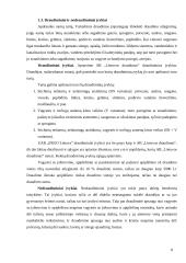 Namų turto draudimas: AB "Lietuvos draudimas" ir "ERGO Lietuva" 8 puslapis