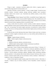 Neįgalaus žmogaus socializacija 2 puslapis