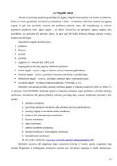 Neįgalaus žmogaus socializacija 13 puslapis