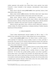 Netiesioginiai mokesčiai 15 puslapis