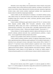 Netiesioginiai mokesčiai 16 puslapis
