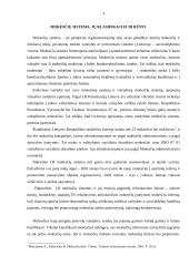 Netiesioginiai mokesčiai 4 puslapis