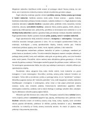 Netiesioginiai mokesčiai 5 puslapis