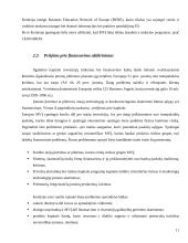 Novatoriškas verslas 11 puslapis