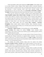 Novatoriškas verslas 18 puslapis