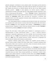 Novatoriškas verslas 19 puslapis